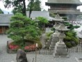 /album/nagano/nagano1-jpg/